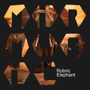 Robric – Elephant