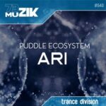 Puddle EcoSystem – Ari