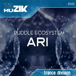 Puddle EcoSystem – Ari