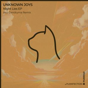 unknown joys, Cendryma – Night Lies (Incl. Cendryma Remix)