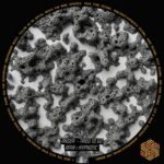 Ansea – Tried to Go