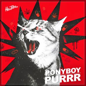 Ponyboy – Purrr
