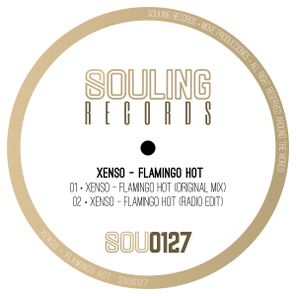 Xenso – Flamingo Hot