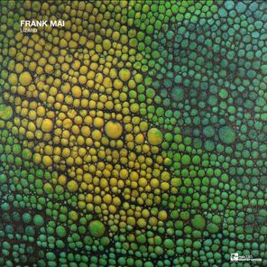 David Schwarz, Frank Mai – Lizard EP