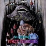 Sixsense – Forest Mushrooms