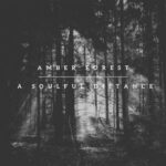 CPUfriendly, A Soulful Distance – Amber Forest