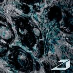 Alba Godoy – Mind Collapse