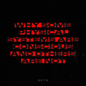 SETE – Why Some Physical Systems Are Conscious And Others Are Not