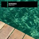 Bitrarex – Learn to Fly