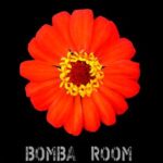 Sweet World – Golden Touch