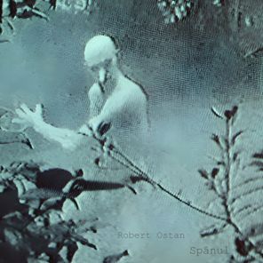Robert Ostan – spânul