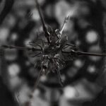 Skelesys, Cia Rebeck – Obsidian