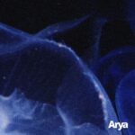 Bartig Move, Adrian Skiba – Adrian Skiba – Shades