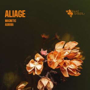 aliage – Magnetic