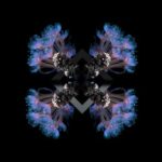 Fideles, 88Birds – 10 Breaths