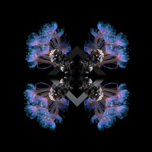 Fideles, 88Birds – 10 Breaths