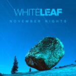 White Leaf – November Nights