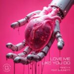 Brunetti, Fancy K – Love Me Like You Do