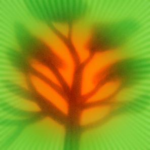 Photay, United Freedom Collective – Always Open (Falle’s Roots) (Photay Remix)