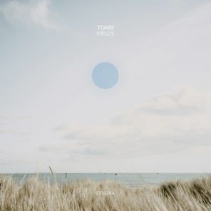 TOMB – Fields
