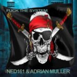 Adrian Muller, Ned 161 – Fuck the system