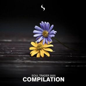 Evasion, D-Code & Psylence – Best Of 2025 – Soul Trader Records