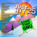 Tommyboy, Alican – Just Hit ’25