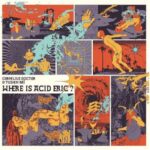 Cornelius Doctor, Tushen Raï – Where Is Acid Eric?