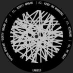 Sascha Bouché – Dirty Organ