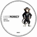 AnAmStyle – TOOK TOO MUCH