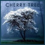 Ensaime, Deborah Vecchi – Cherry Tree