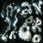 Man Bro – All Time High