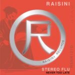 Stereo Flu – Never Too Late