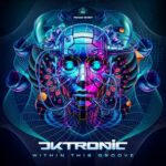 Dktronic – Within This Groove