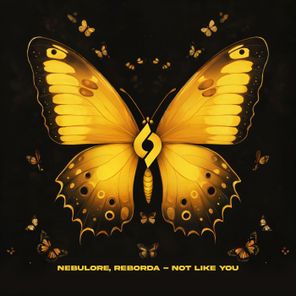 Journey of the Soul, Nebulore – Not Like You