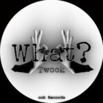 Twook – What?