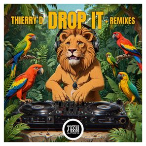 Thierry D – DROP IT