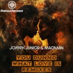 DJ Octopuz, Joseph Junior – You Dunno What Love Is