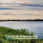 The David Jones – While They Sleep