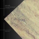 Anders (BR) – Linguagem Dos Ossos