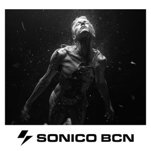 Niko Savrin – Brezmejno