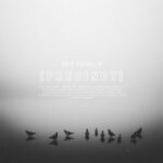 Ben Soundscape, Anile – Five Years of Precinct