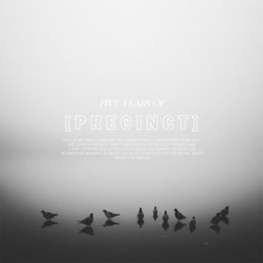 Ben Soundscape, Anile – Five Years of Precinct