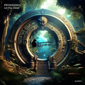 Prykhodko – Let You Down