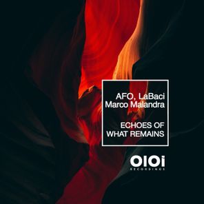 AFO, Labaci – Echoes of What Remains
