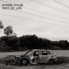 Dylab – Fact of Life