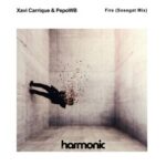 Xavi Carrique, Pepo WB – Fire