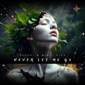 Sloupi, Mirel Cipu – Never let me go