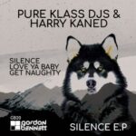 Pure Klass DJs, Harry Kaned – Silence