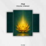 PIMI – Feeling Strange